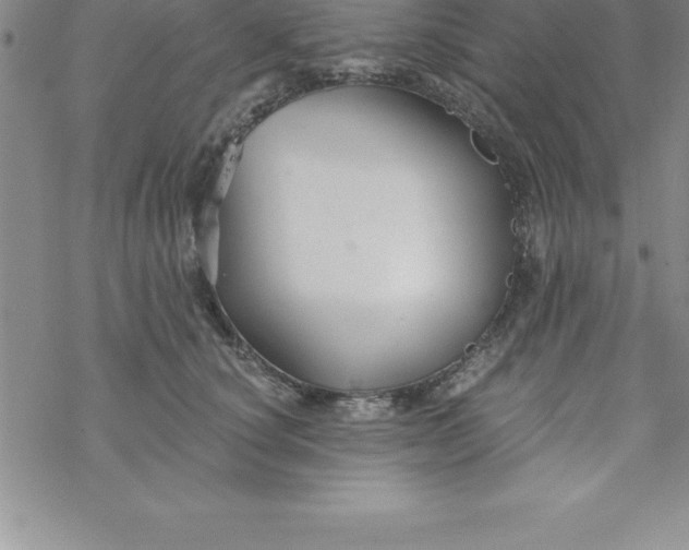 X0000069830660200606021338