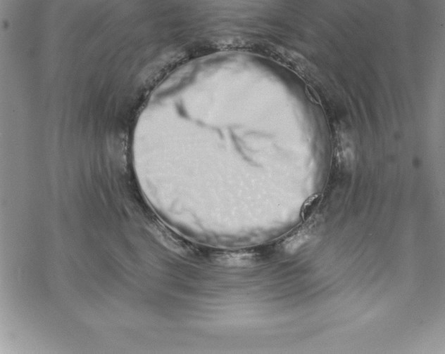 X0000069830664200606021338