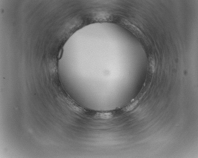 X0000069830665200606021338