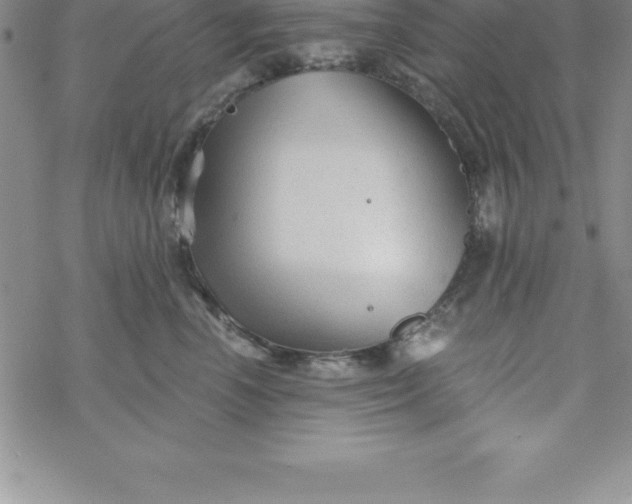 X0000069830666200606021338