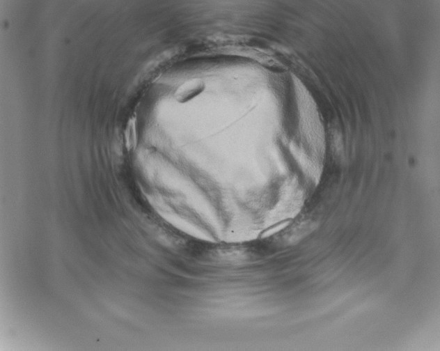 X0000069830668200606021338