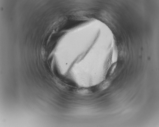 X0000069830669200606021338