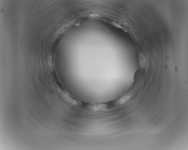 X0000069830670200606021338