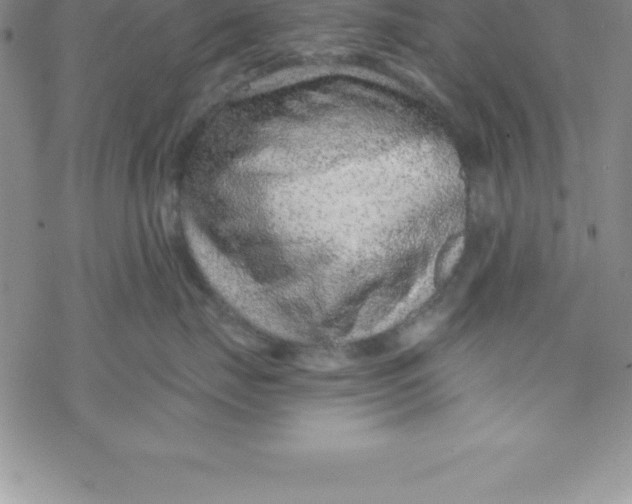 X0000069830671200606021338