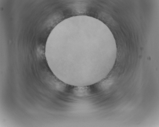 X0000069830672200606021338