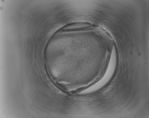 X0000069830673200606021337