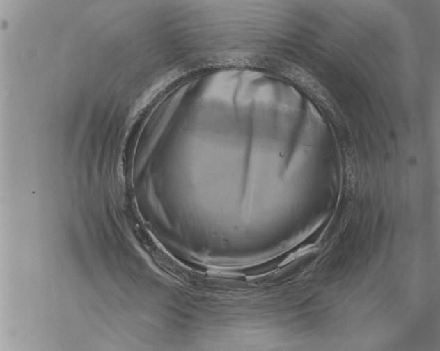 X0000069830674200606021337