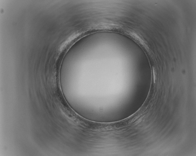 X0000069830675200606021337