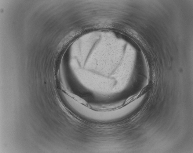 X0000069830677200606021337