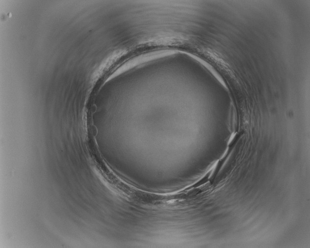 X0000069830678200606021337