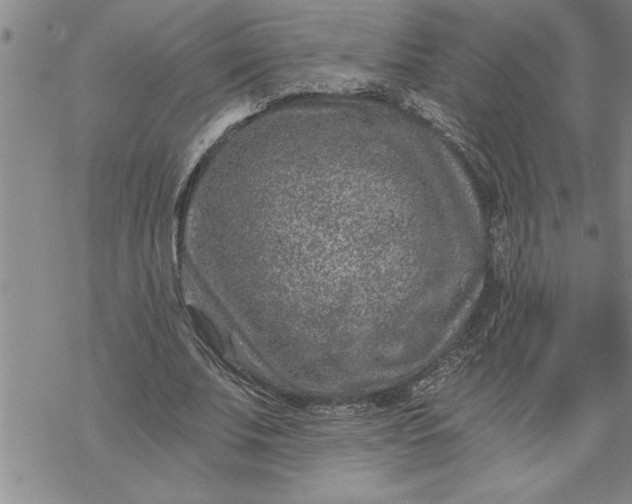 X0000069830679200606021337