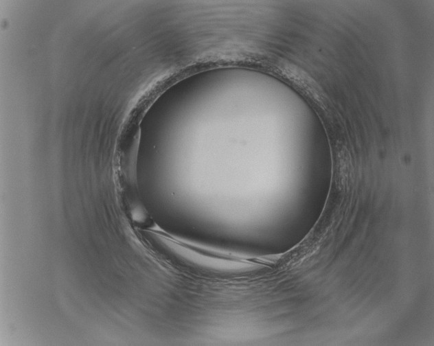 X0000069830680200606021337