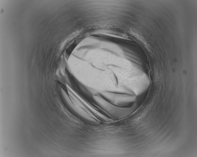 X0000069830681200606021337