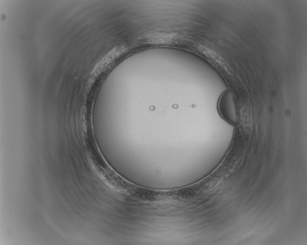 X0000069830682200606021337