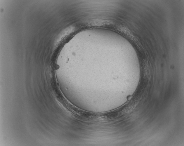 X0000069830683200606021337