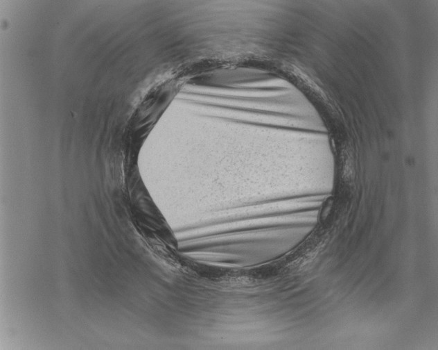 X0000069830685200606021337