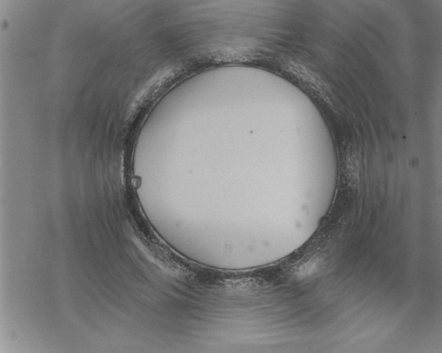 X0000069830686200606021337