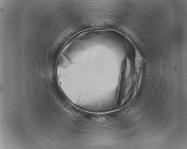 X0000069830687200606021337