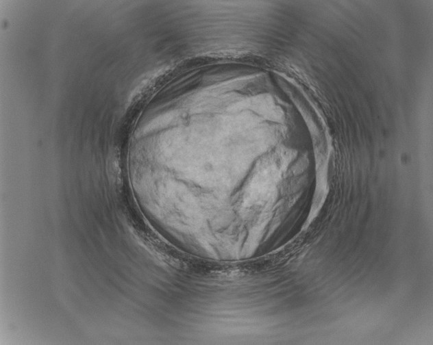 X0000069830688200606021337