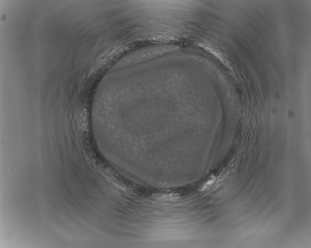 X0000069830689200606021337