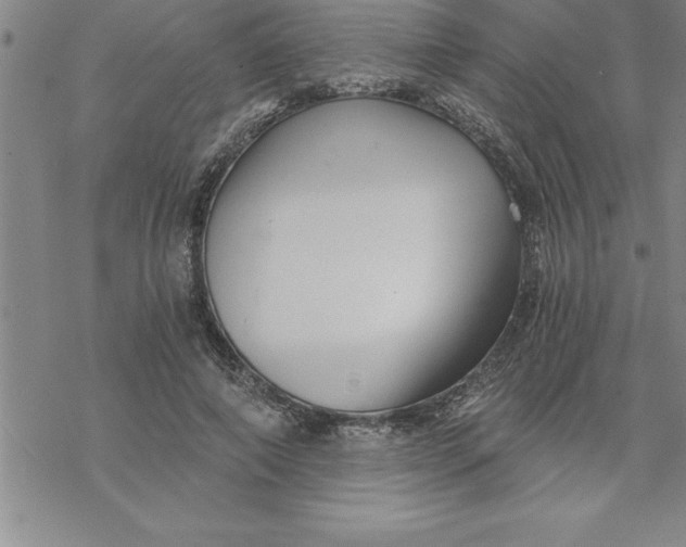 X0000069830690200606021337