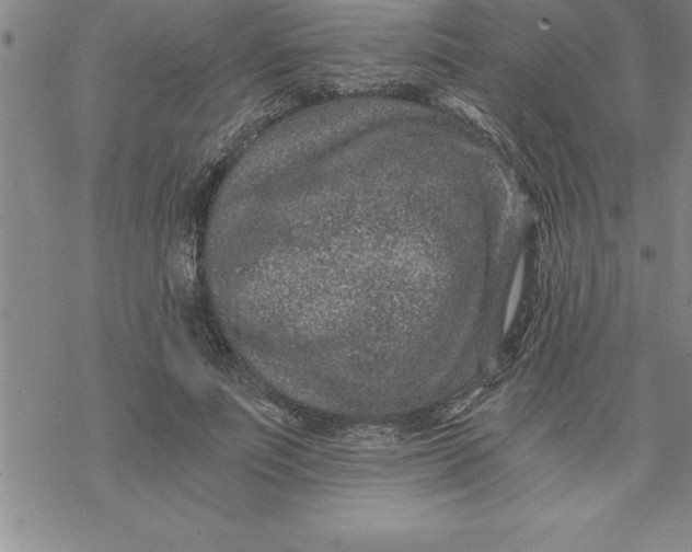 X0000069830691200606021337