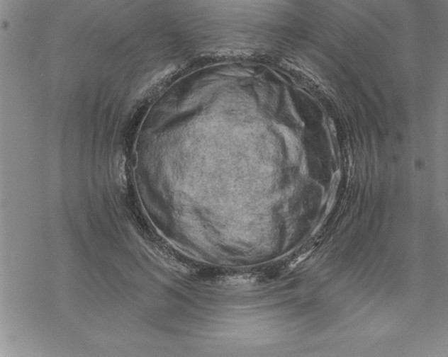 X0000069830692200606021337