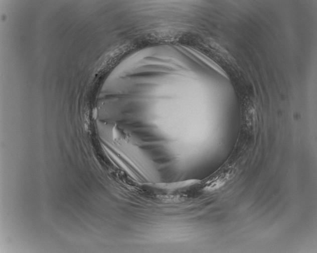 X0000069830693200606021337