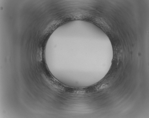 X0000069830694200606021337