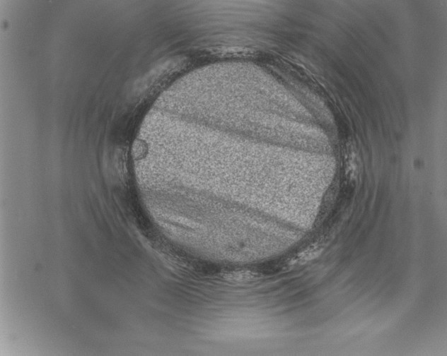 X0000069830695200606021337