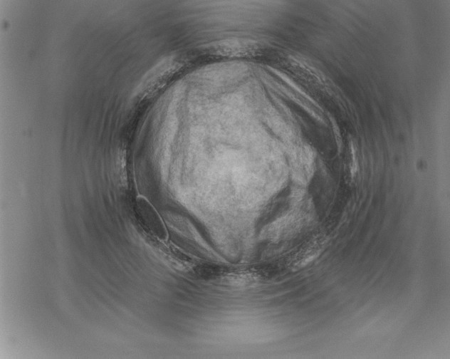 X0000069830696200606021337