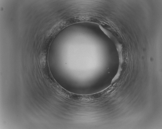 X0000069830697200606021337