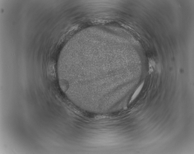 X0000069830699200606021337