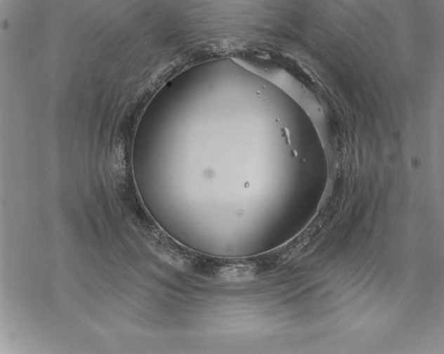 X0000069830700200606021337