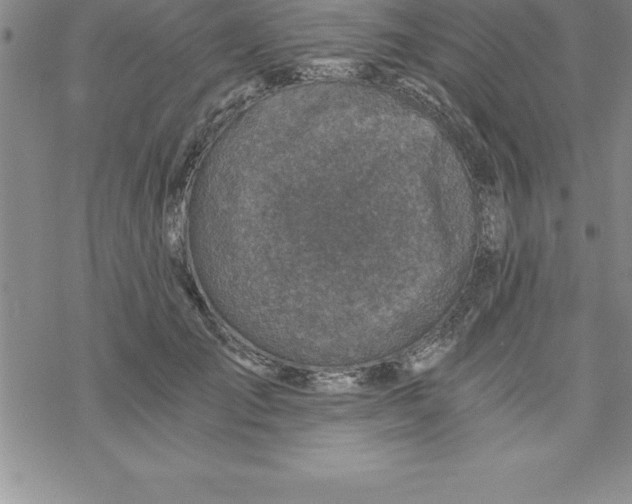 X0000069830701200606021337