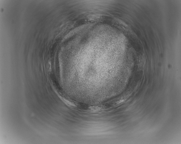 X0000069830703200606021337