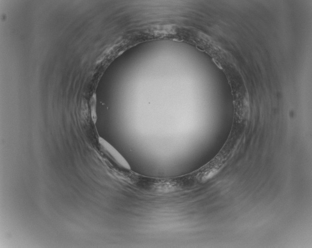 X0000069830704200606021337