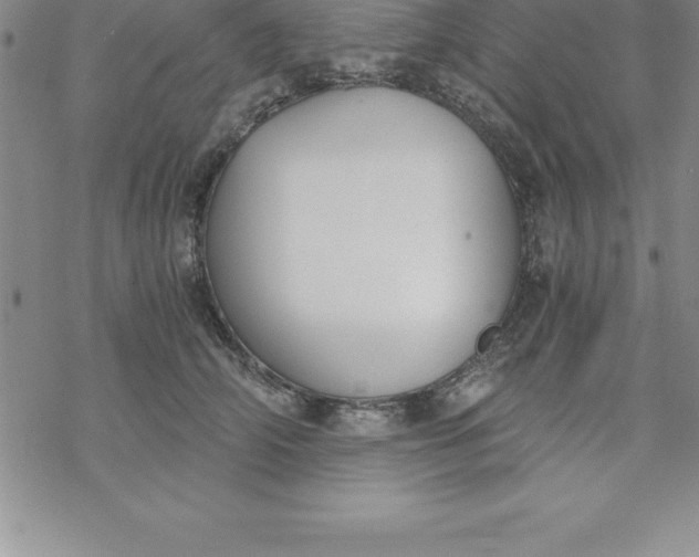 X0000069830706200606021336