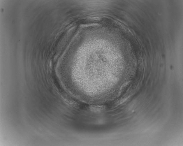 X0000069830707200606021336