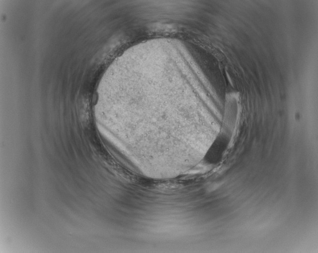 X0000069830708200606021336