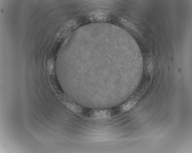 X0000069830709200606021336