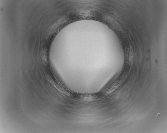 X0000069830710200606021336