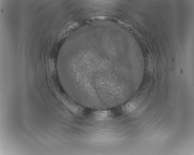 X0000069830711200606021336