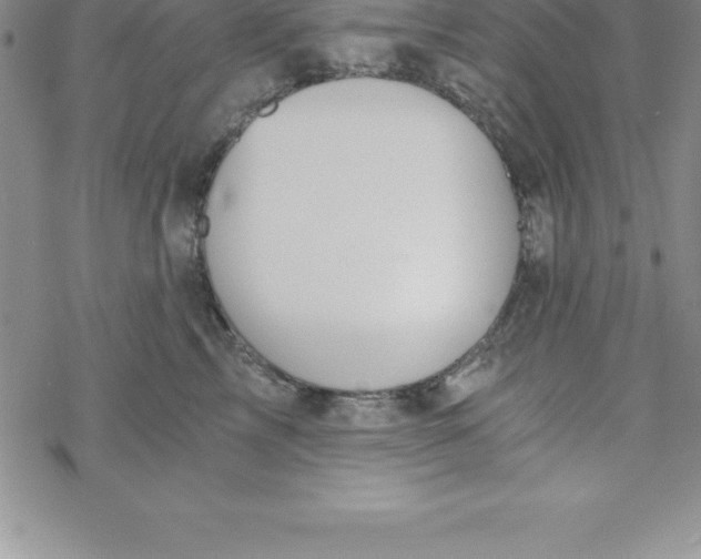 X0000069830713200606021336