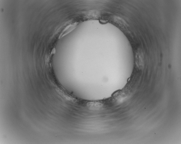 X0000069830714200606021336