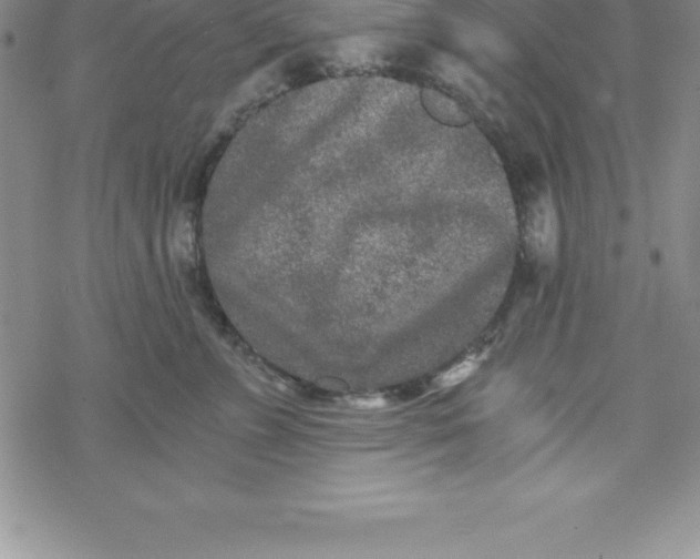 X0000069830715200606021336