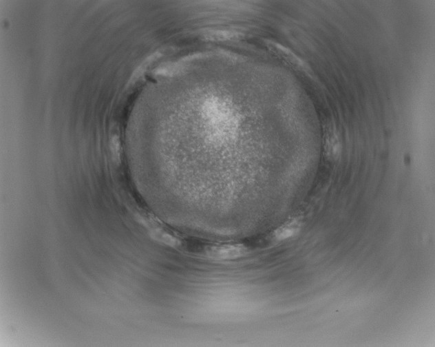 X0000069830716200606021336