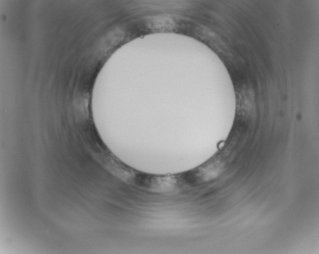 X0000069830717200606021336