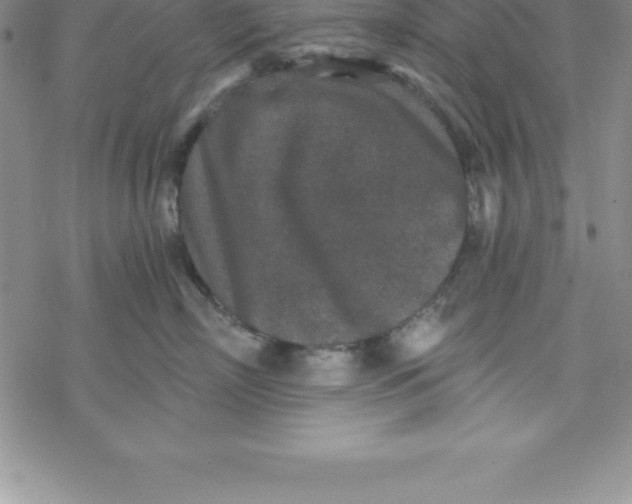 X0000069830718200606021336