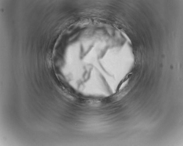 X0000069830719200606021336